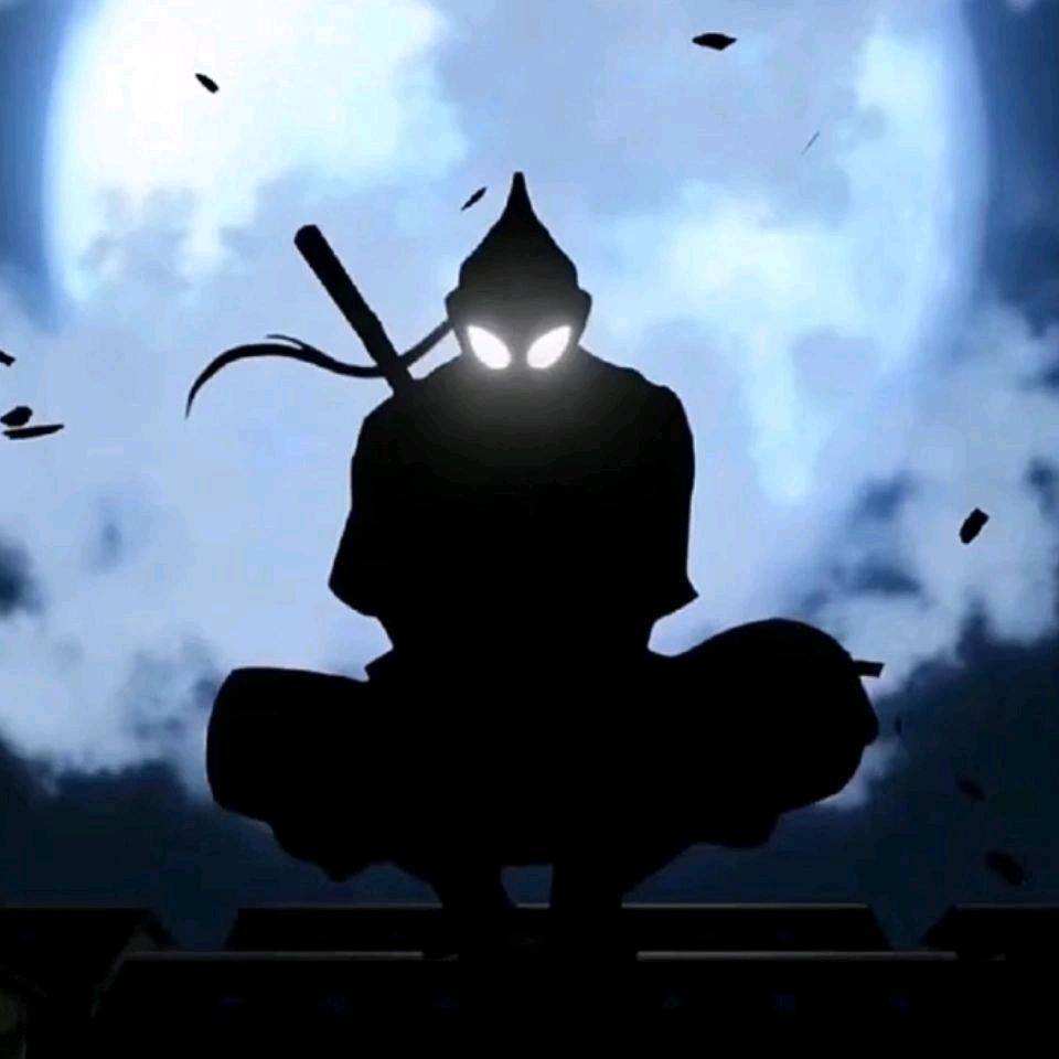 从不穿秋裤