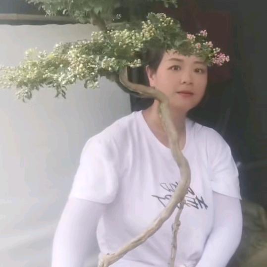 楼艳萍