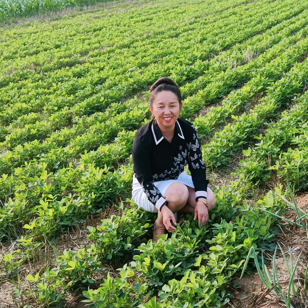 禾为贵农资翠姐