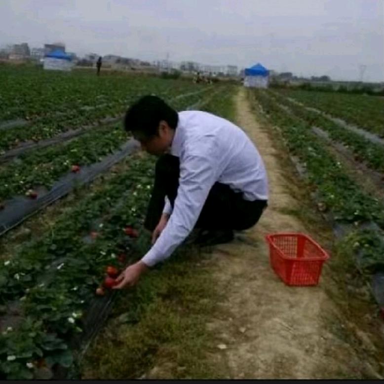 群哥美食记