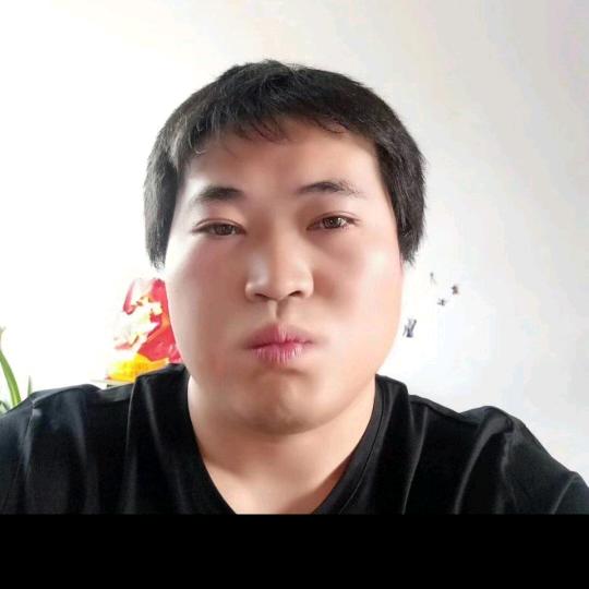 真心真意