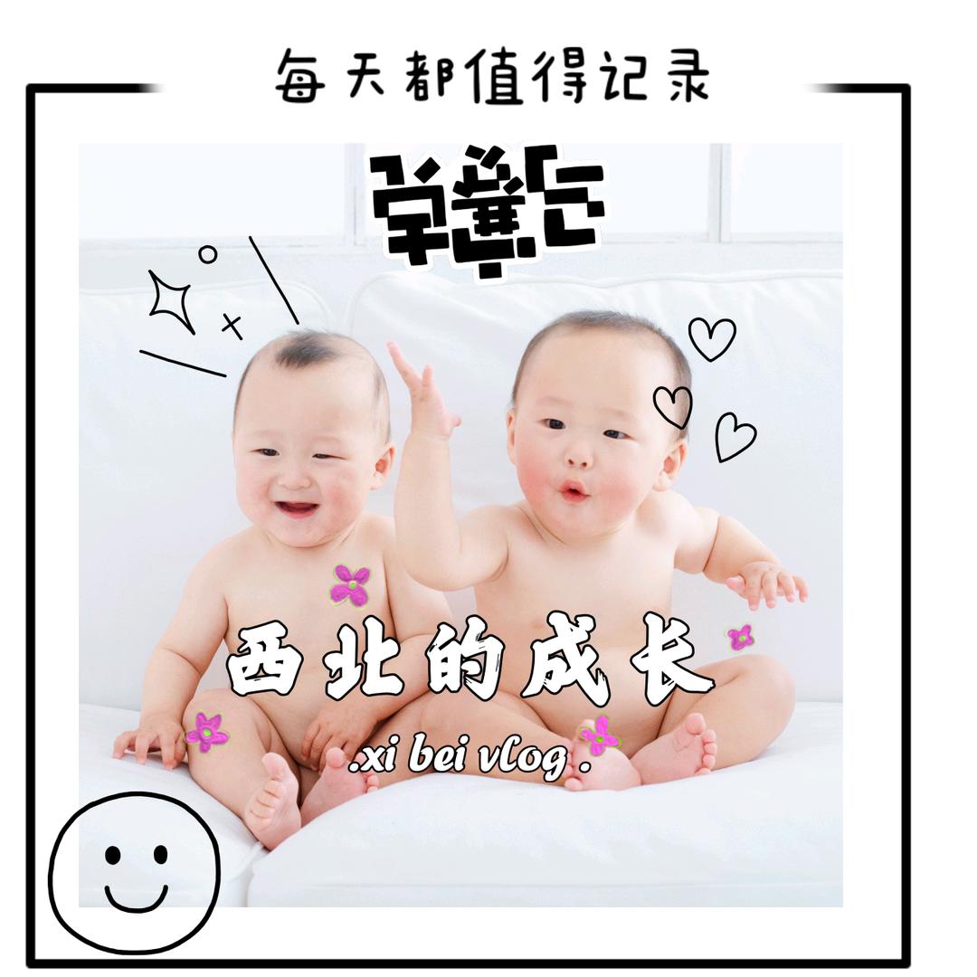 西西和北北吖
