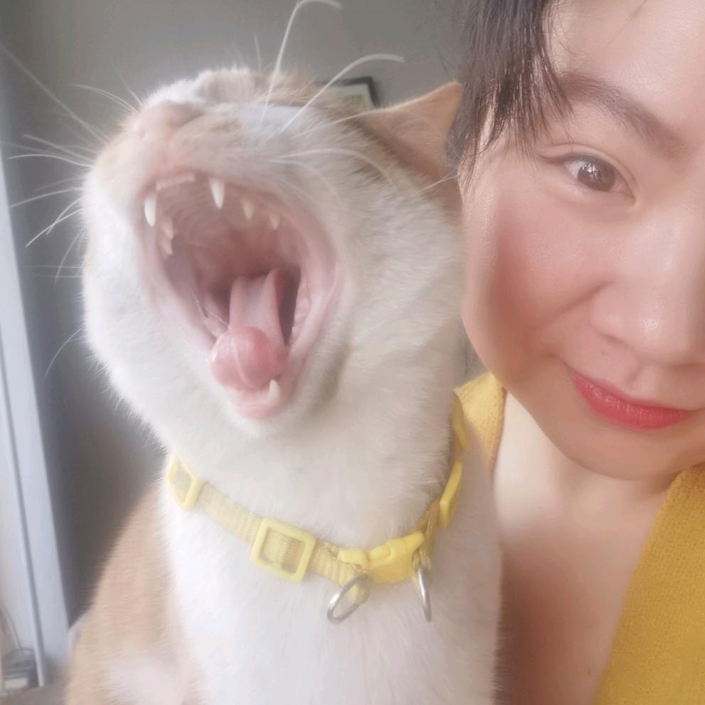 米亚是只猫