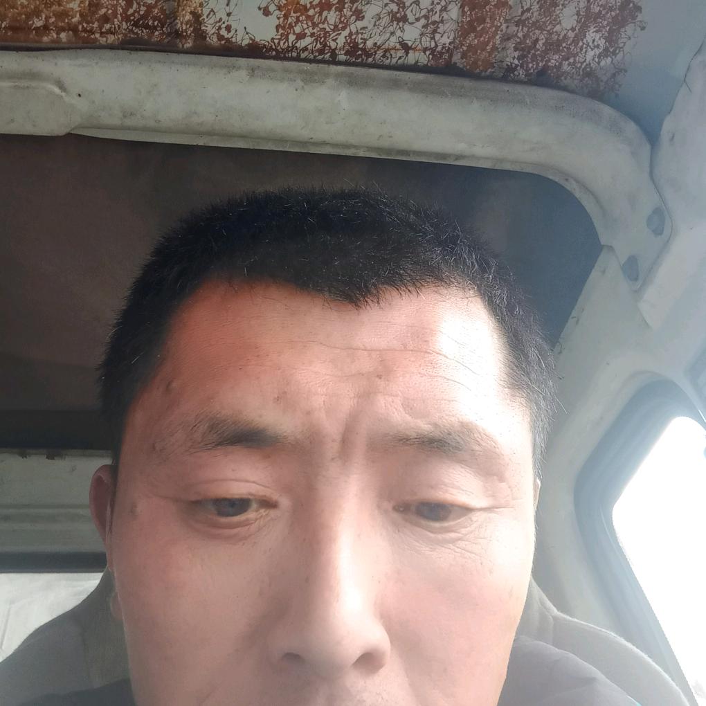 树席