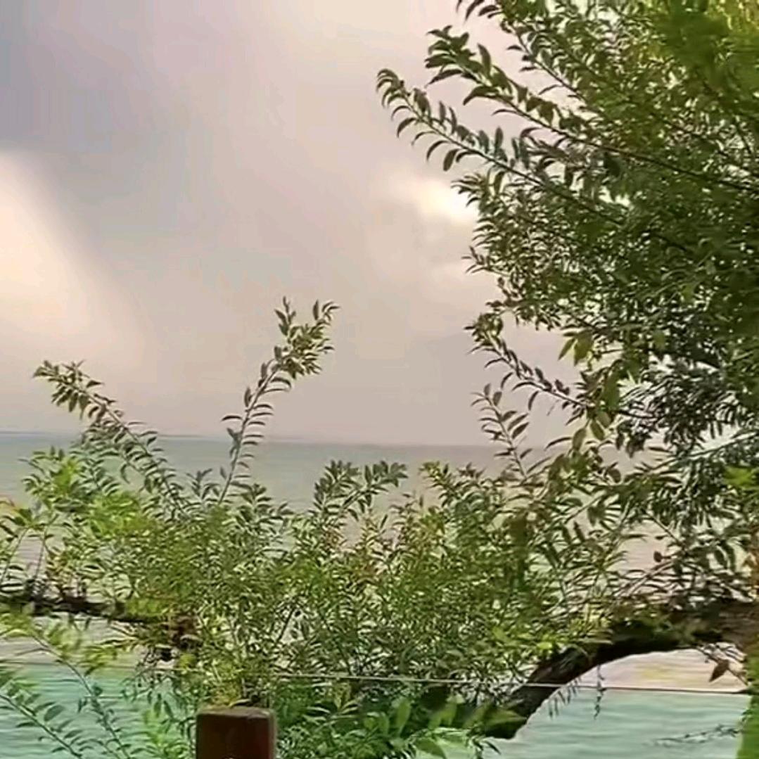 下一站🌱