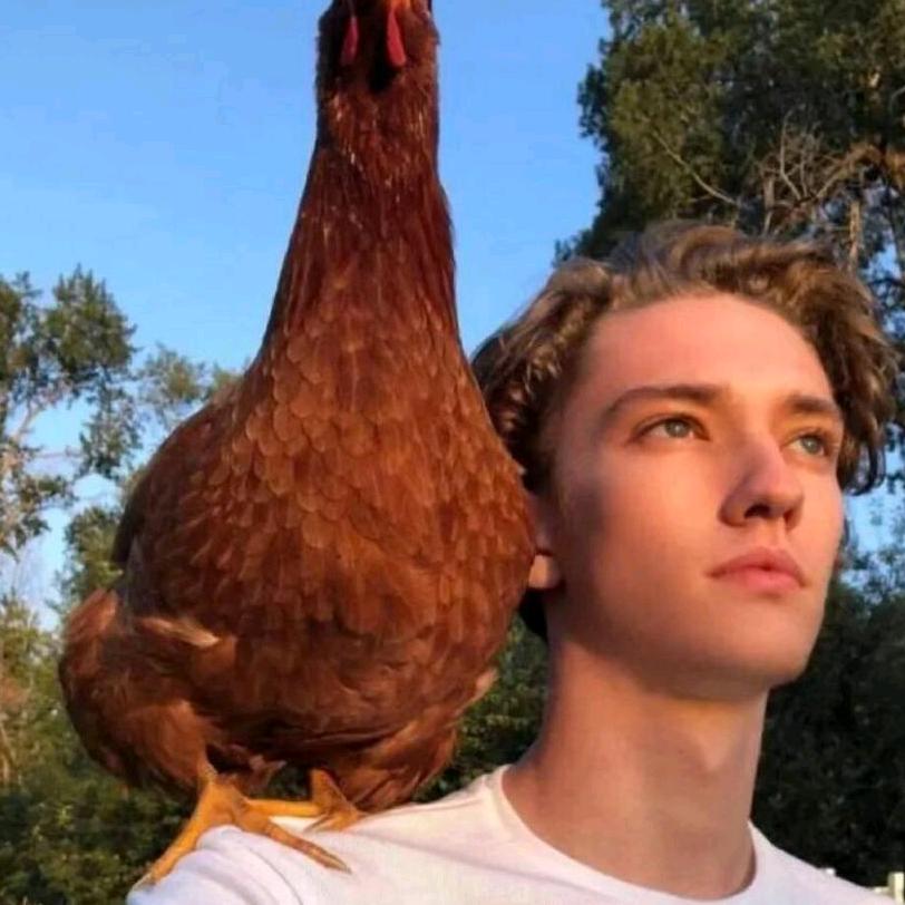 让我多睡一会儿