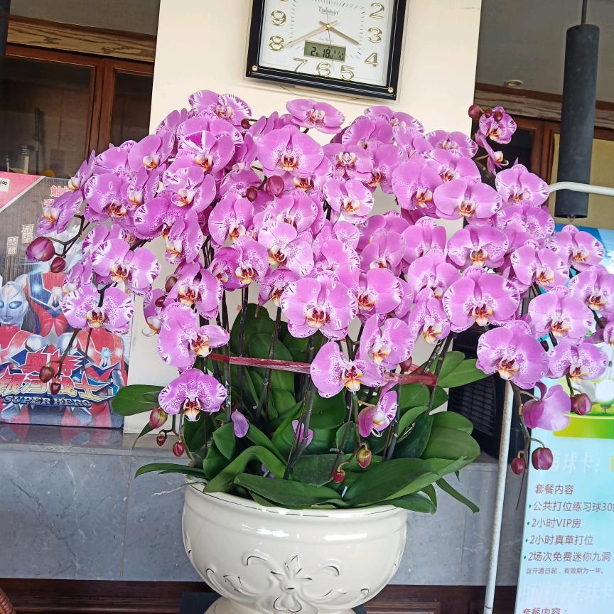 思念