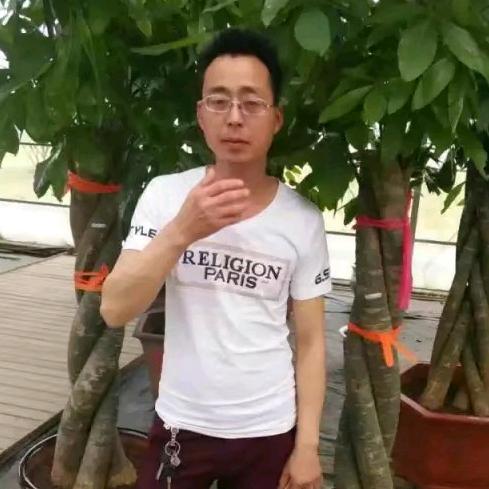 老刘