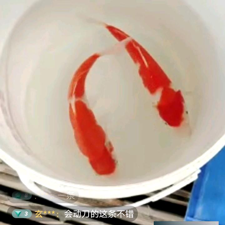 追梦人