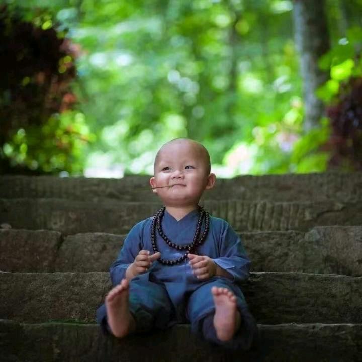 安稳先生