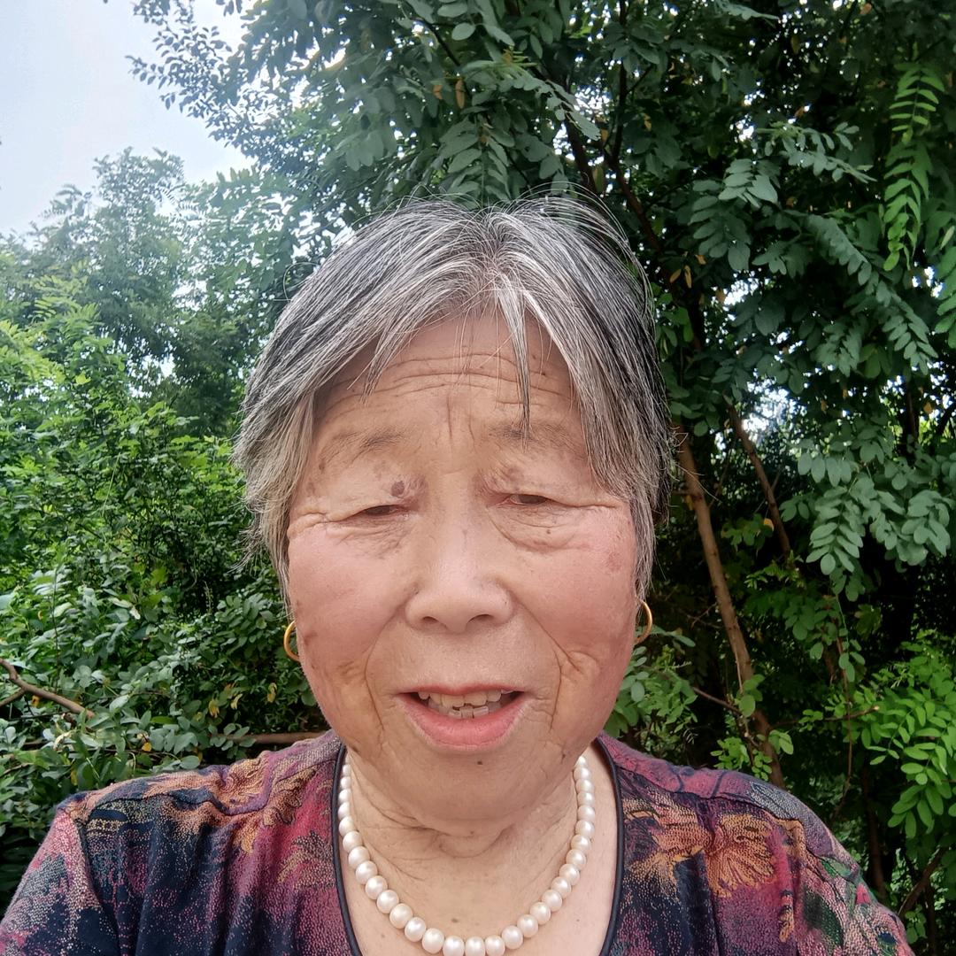 长青老人