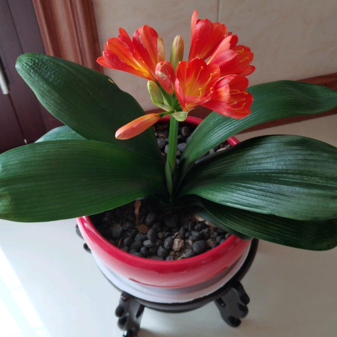 开心快乐每一天