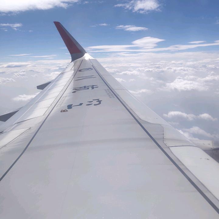 魑魅魍魉