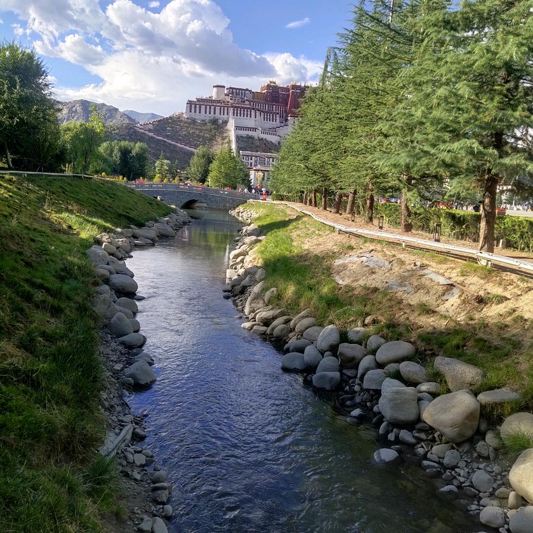 兜兜🤩转转😇