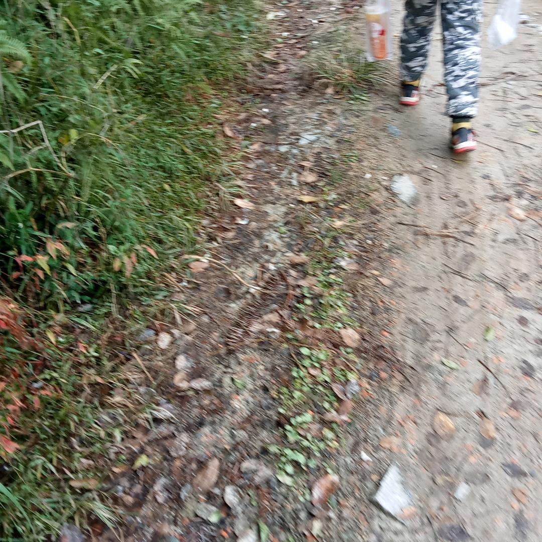 十八子