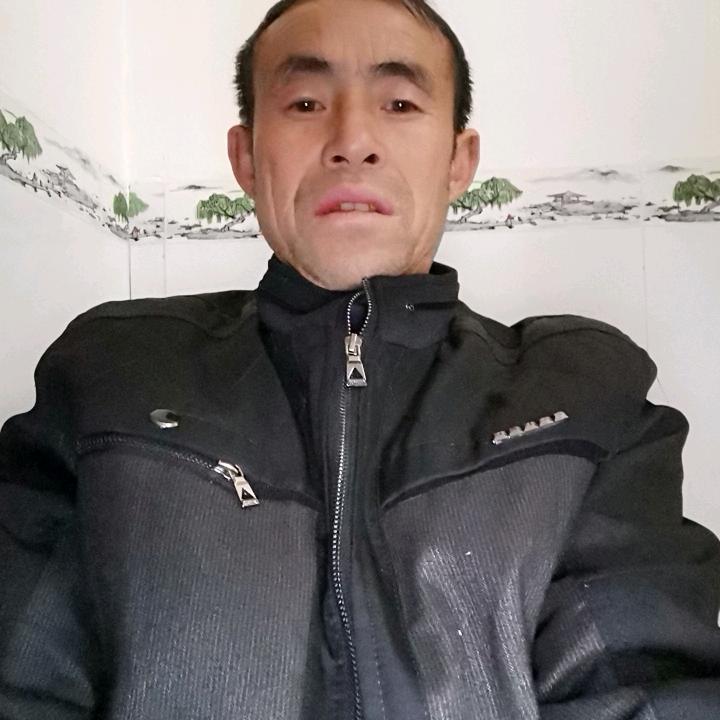 (●—●自由飞翊
