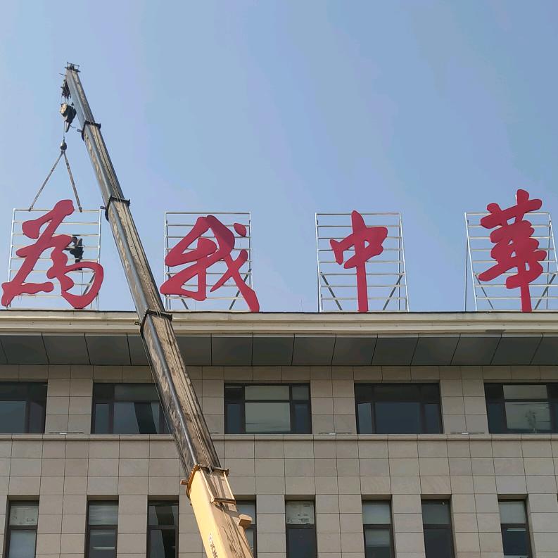 流浪狮子