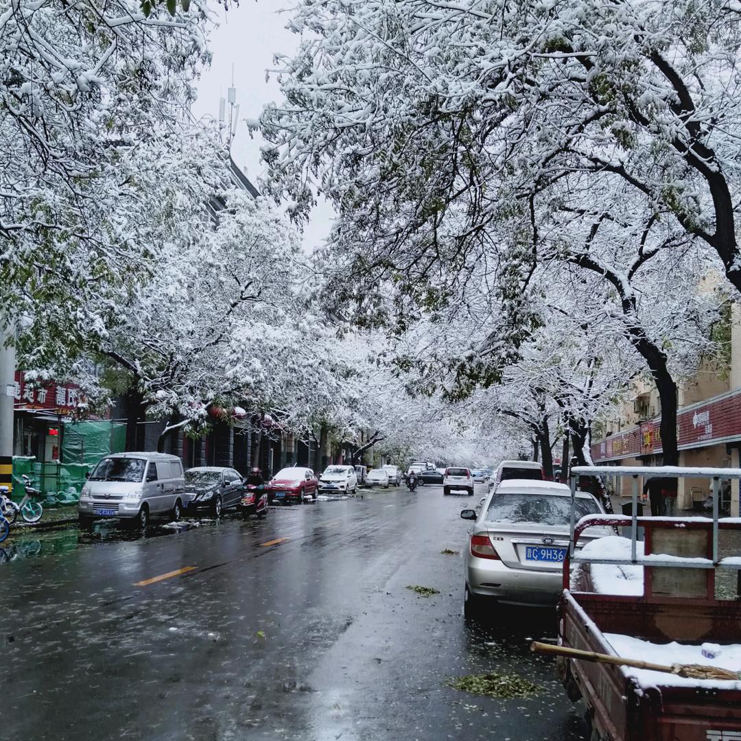 沐泽先生(σ′▽‵)′▽‵)σ