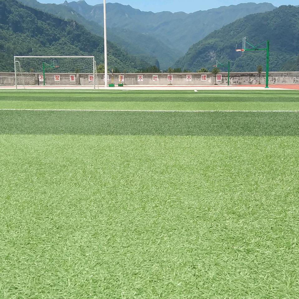 郑姐带你做家政