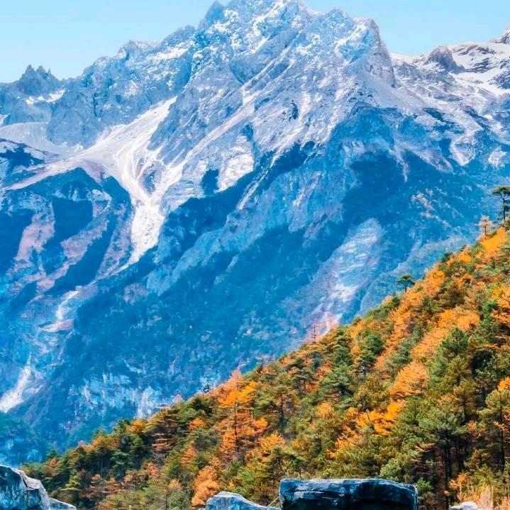 冰冷的心