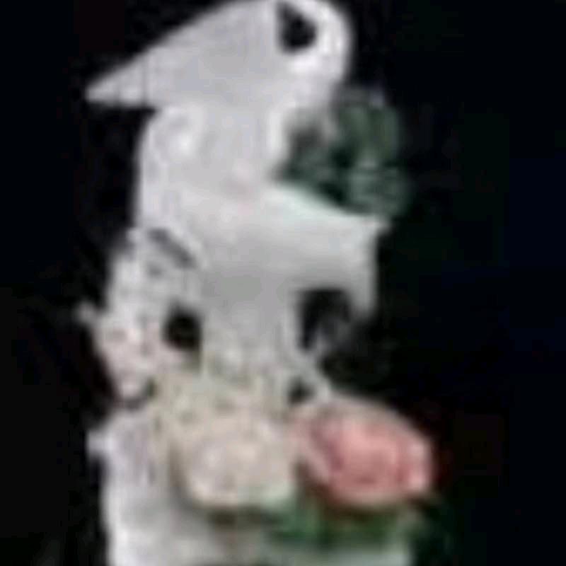 百年好合