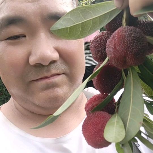 水果哥阿军