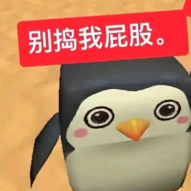 [卫队长官]赛伊德