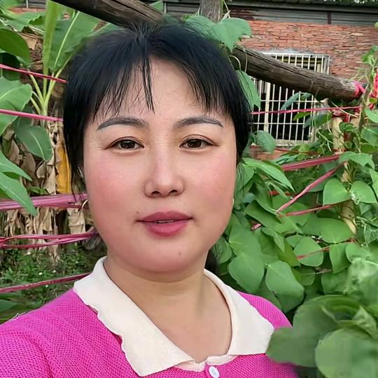 娟子推荐
