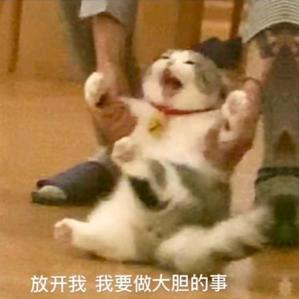 殷青