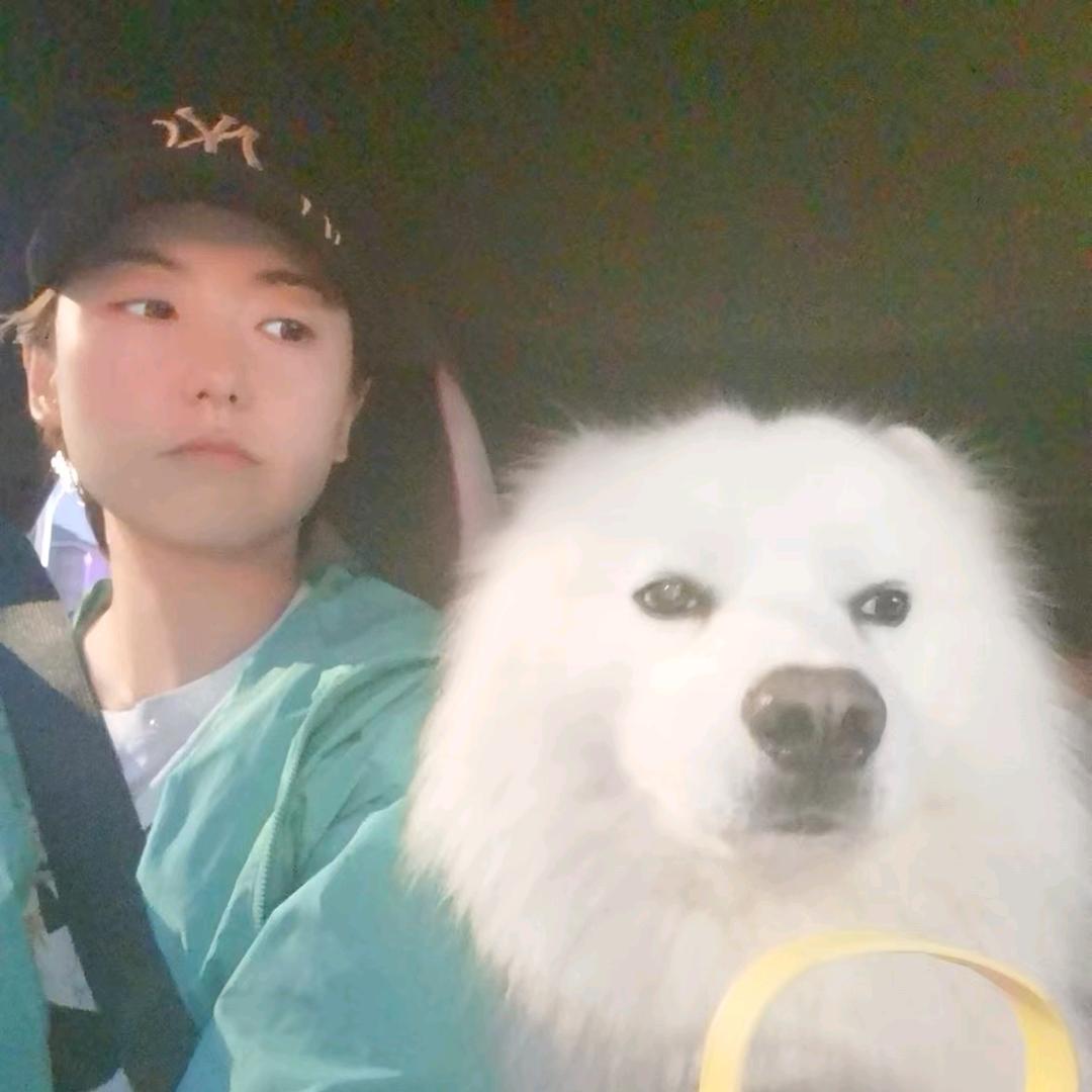 豆豆