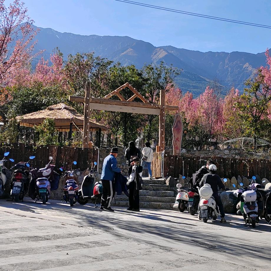 听风林休闲营地