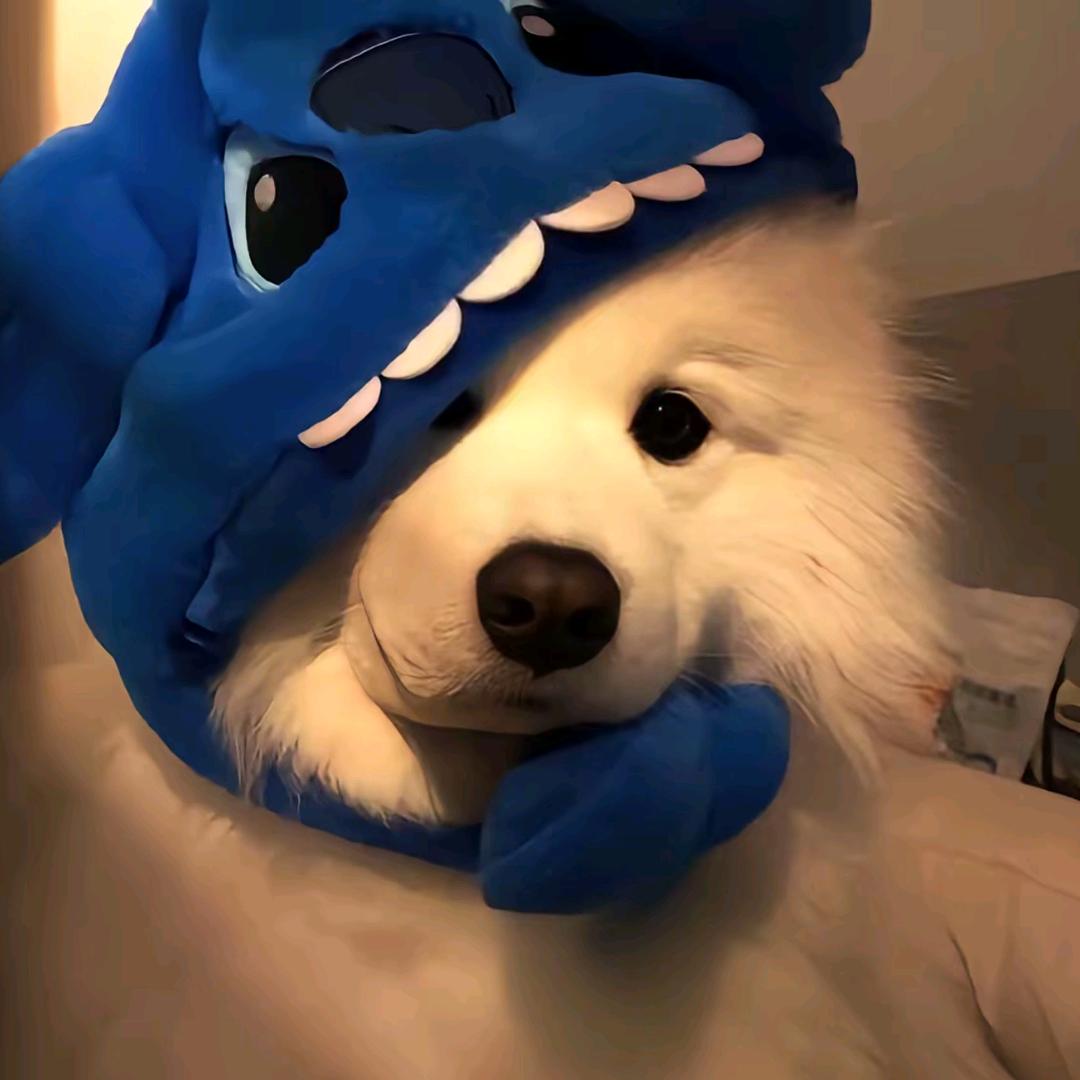 烽火