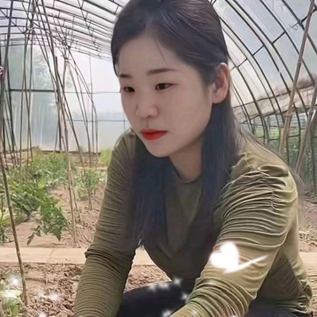 春天的燕子