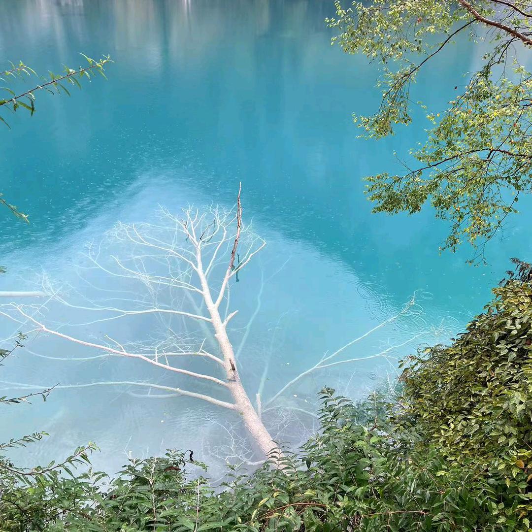 🌱三分温柔💋🥀