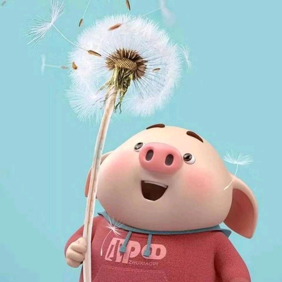 🕊🕊【懂の紾惜。】™