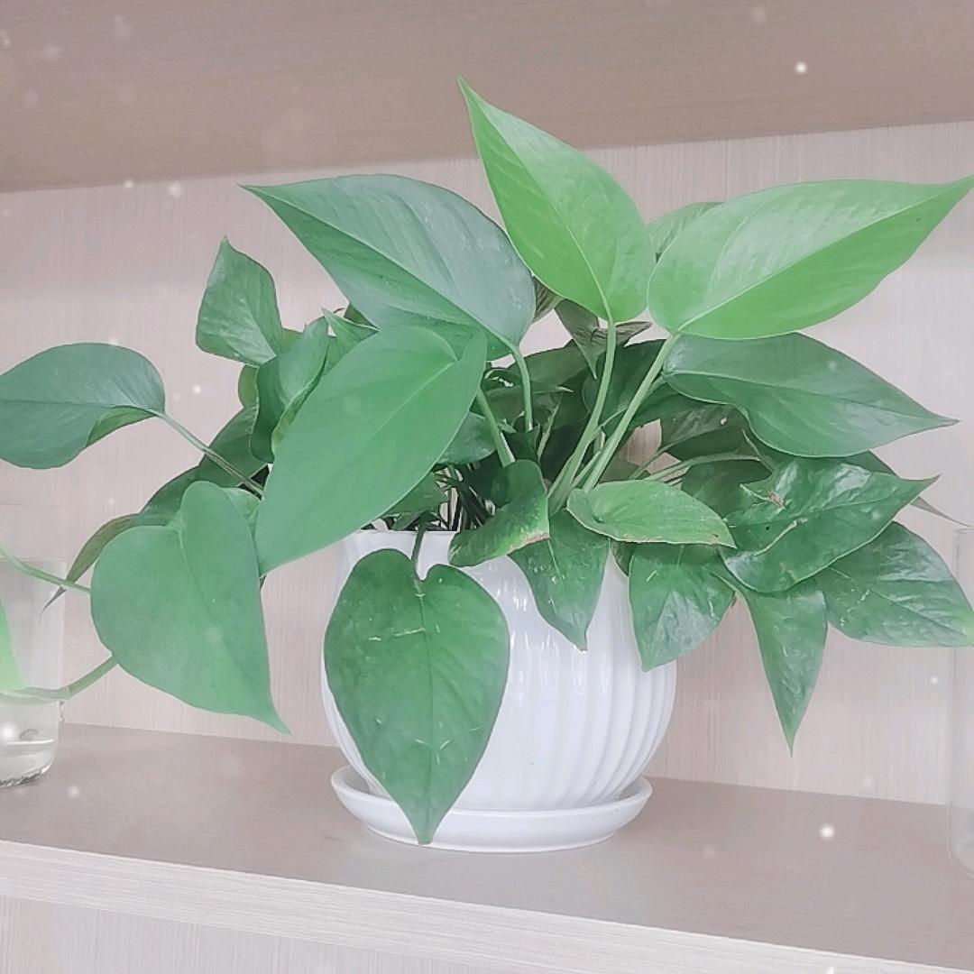 我在新晃等你