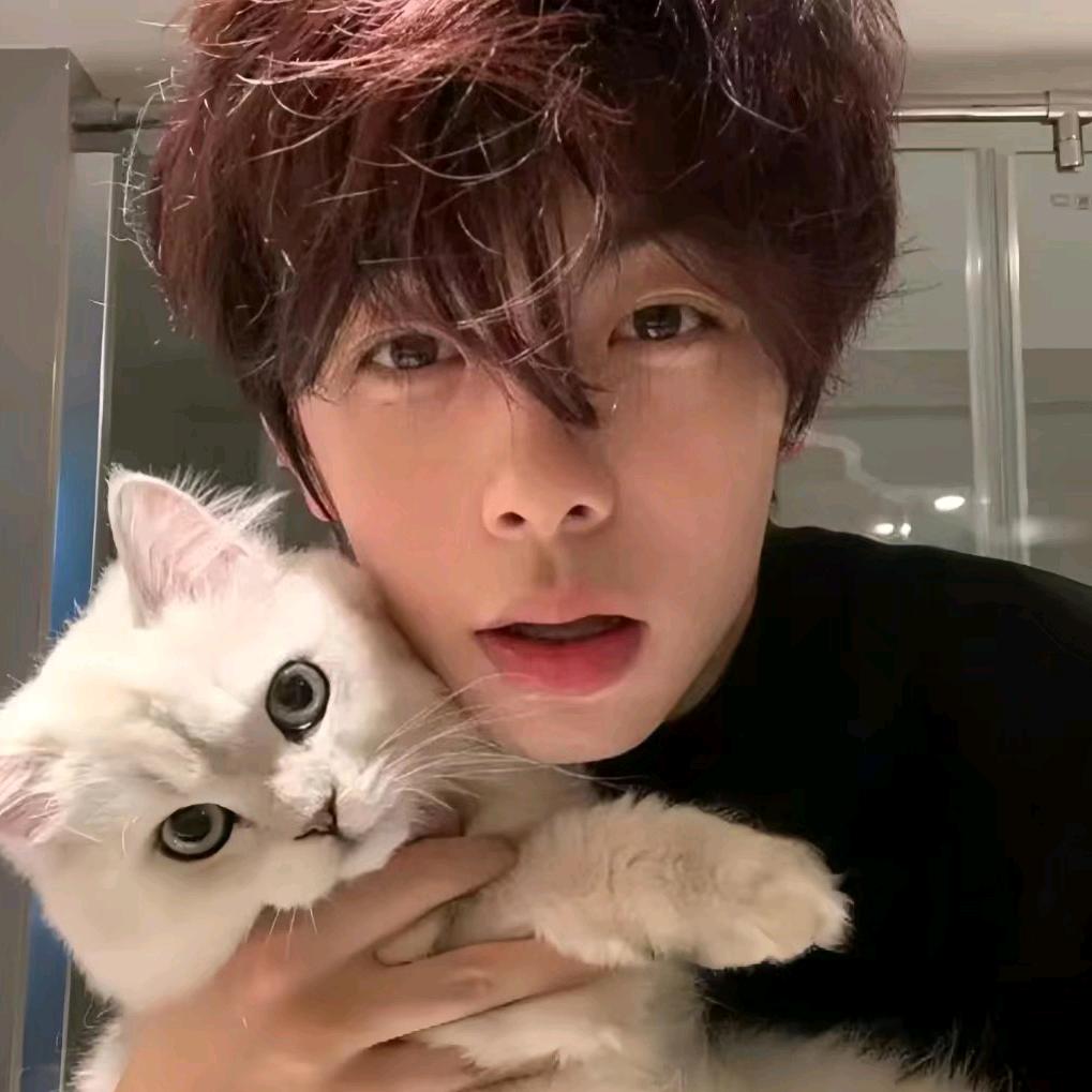 BuBu