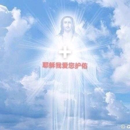 🌹天佑静心🌹