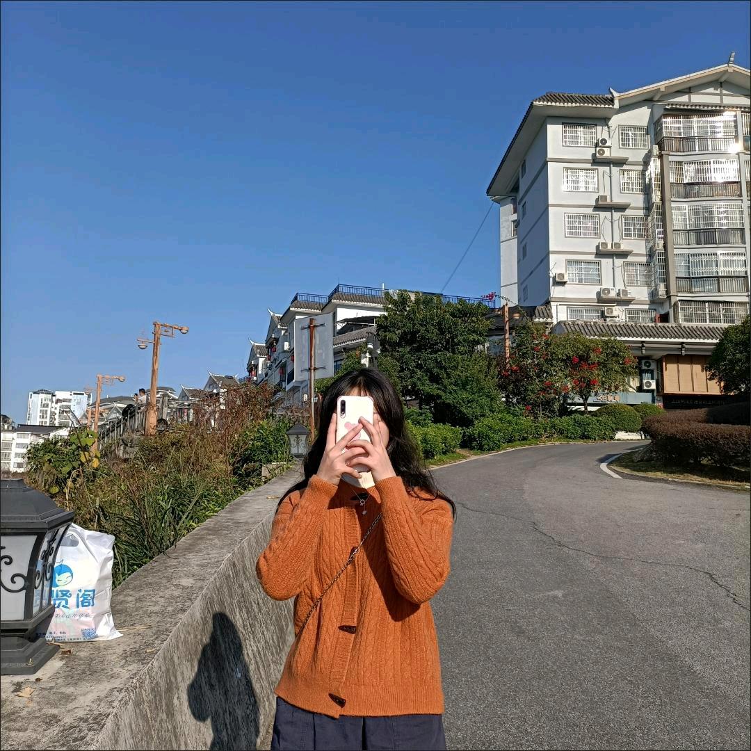 藏  德西