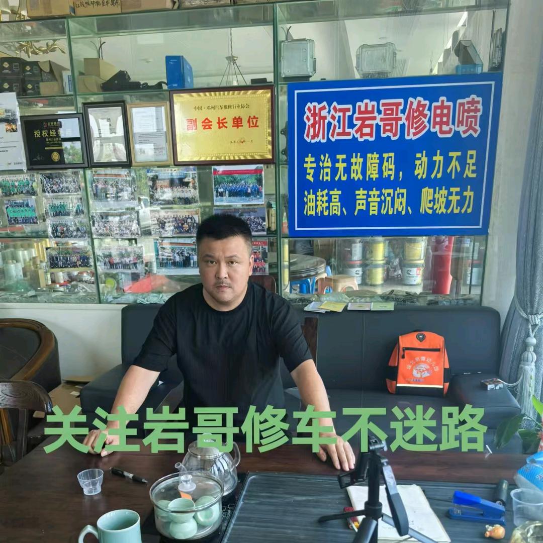 浙江（岩哥）专治动力不足油耗高