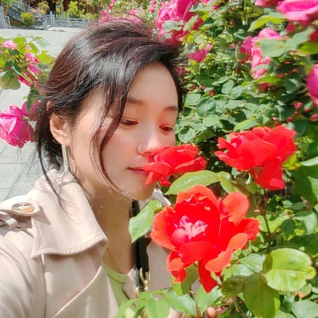 鸡血藤姐姐