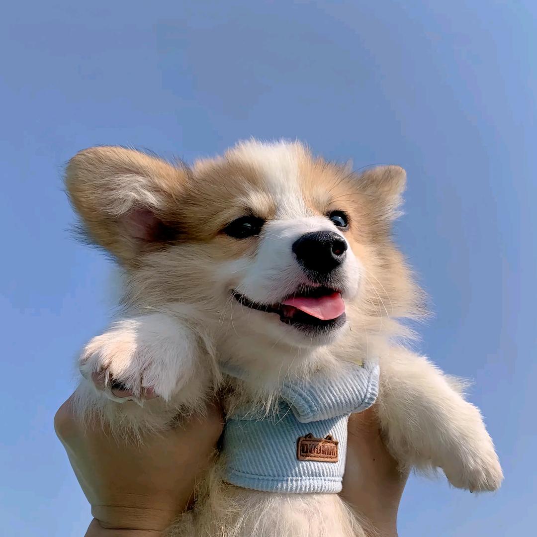 白手起家