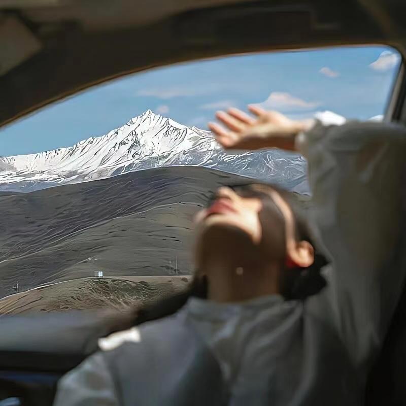 山茶
