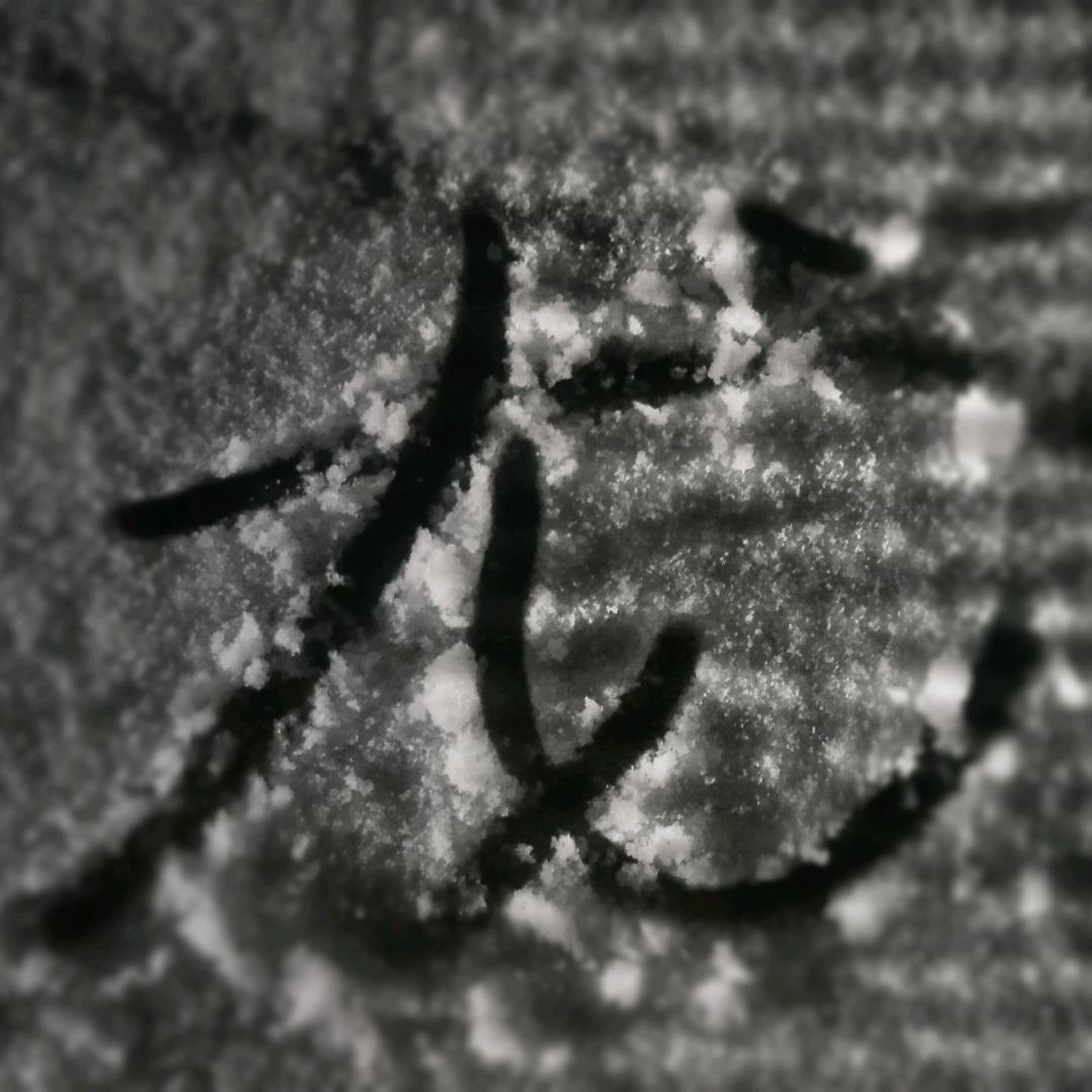 老肥肠