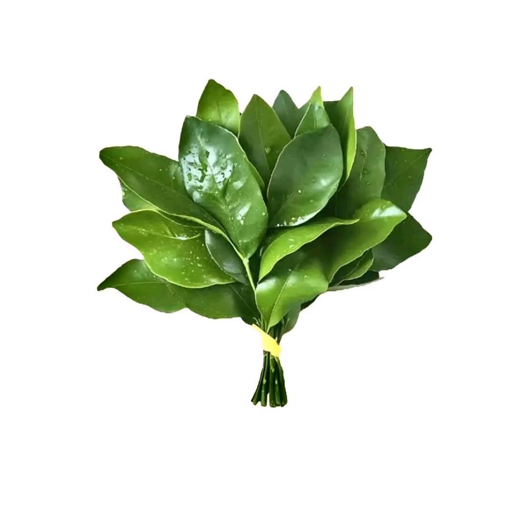 茉莉奶绿