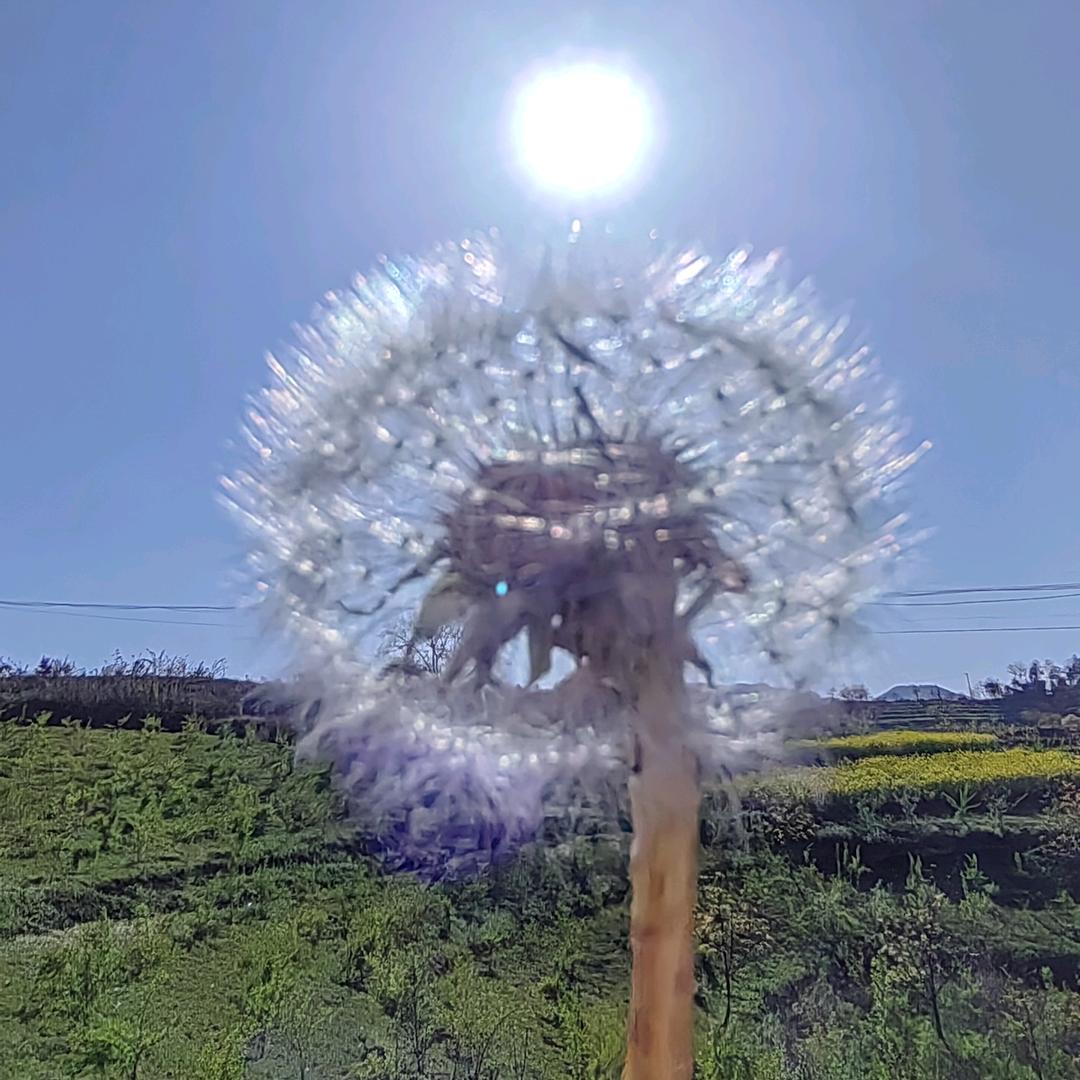 嫣然一笑终成梦