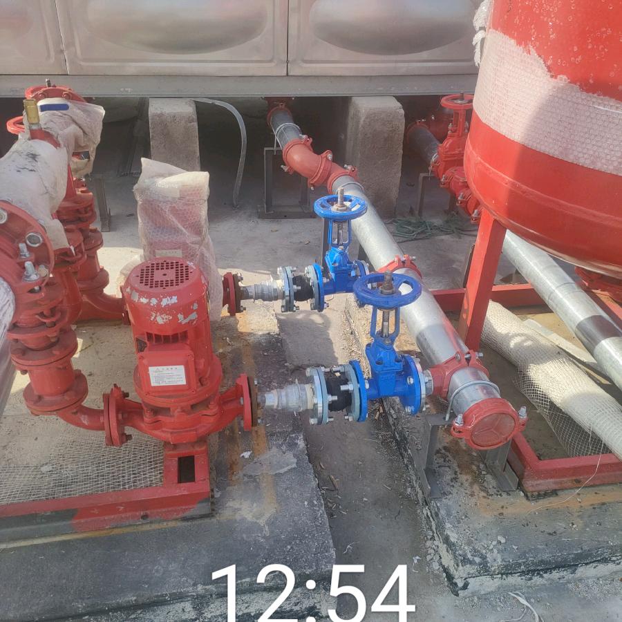 单身不是我一个人