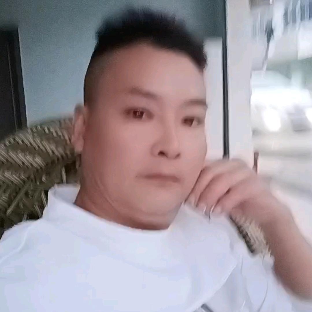 森林里的猪（🐷）