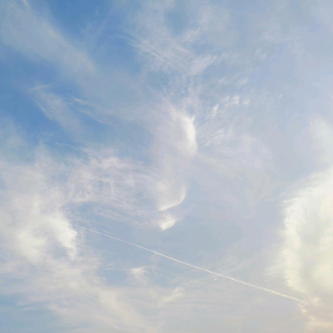 清清清