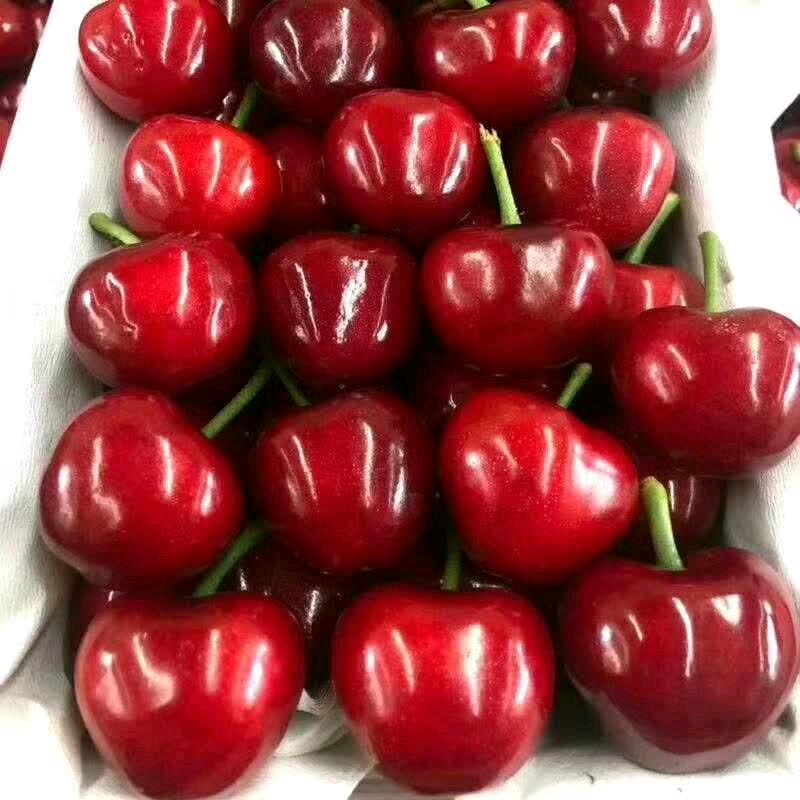 最爱你的人是我